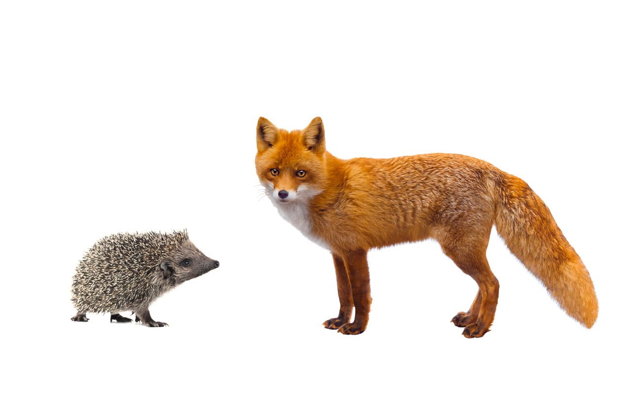 Foxes and Hedgehogs Governance in Uncertain Times HILARY PEARSON